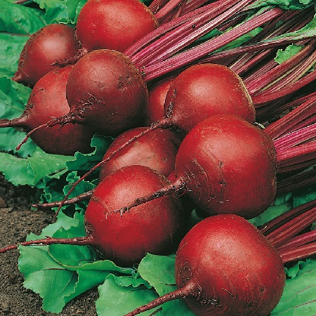 0312_Kestrel_Beets__96933