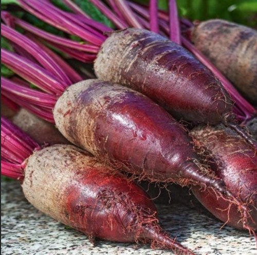 0312_Kestrel_Beets__96933