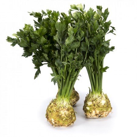 0312_Kestrel_Beets__96933