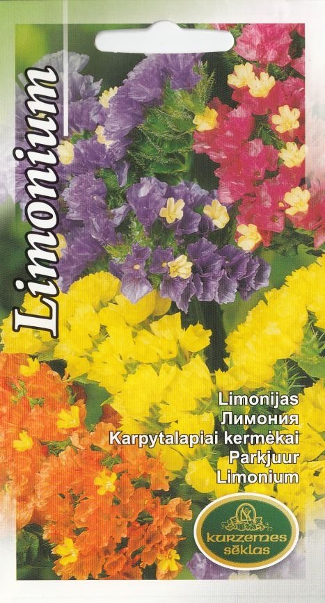 4750128414369