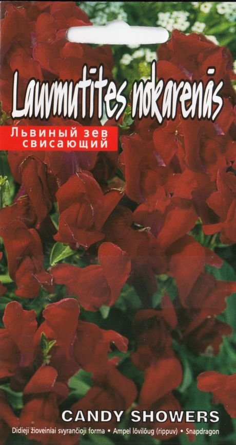 4750128414925