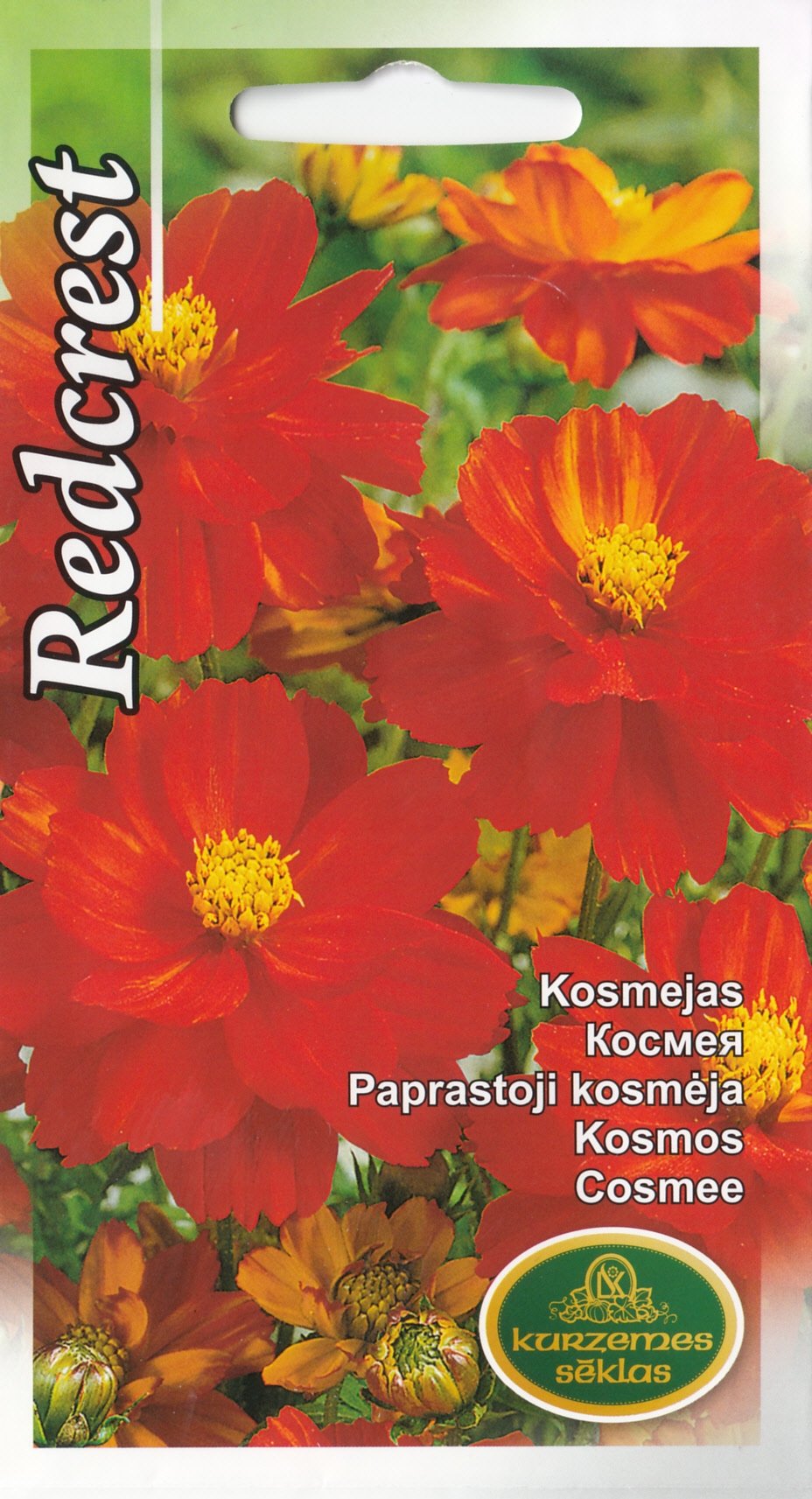 4750128415328