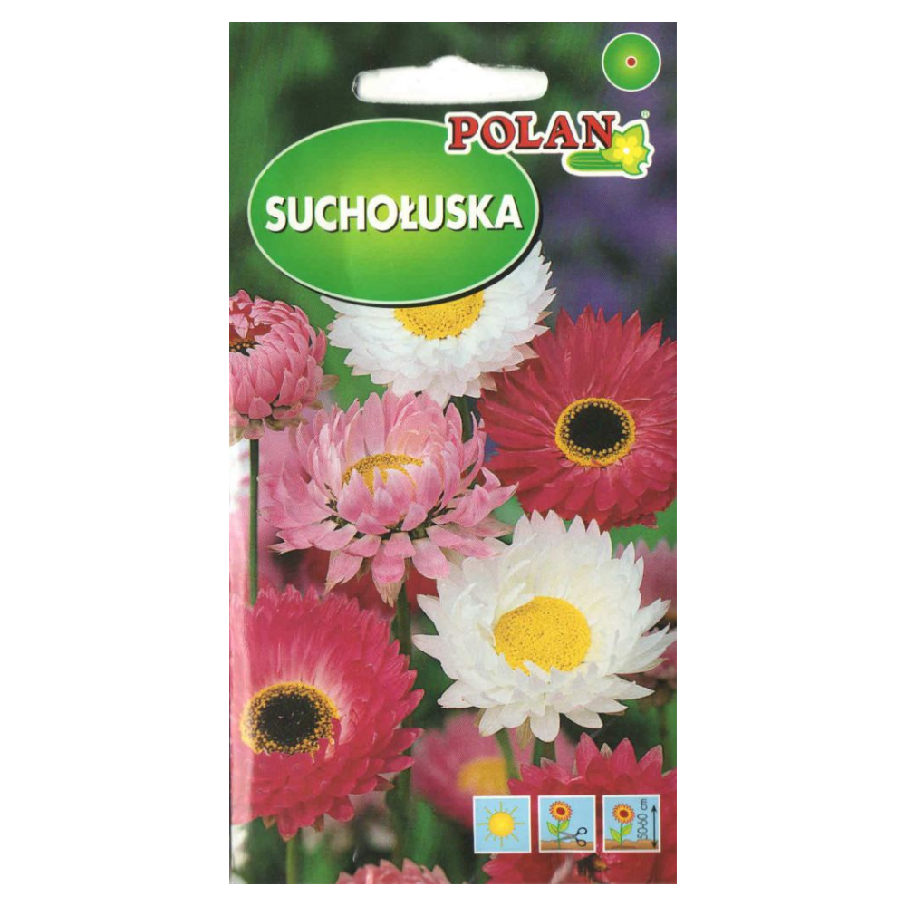 Akroklinijas