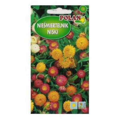 Noformejums-bez-nosaukuma64
