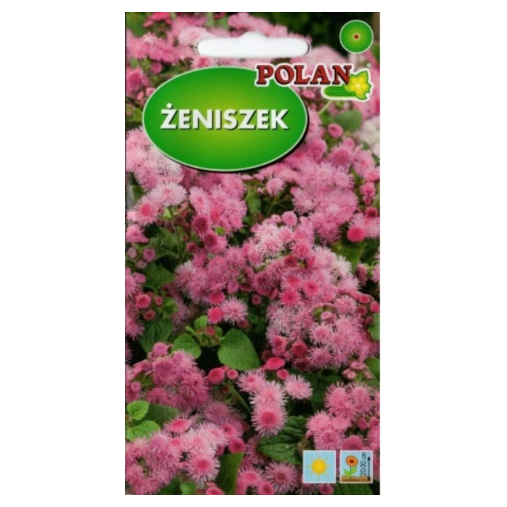 agerats-roza