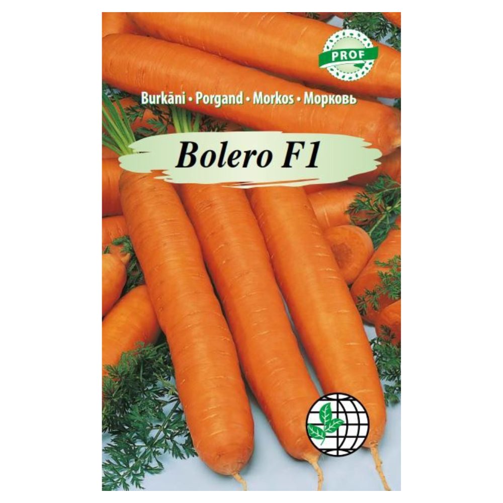 bolero_f1