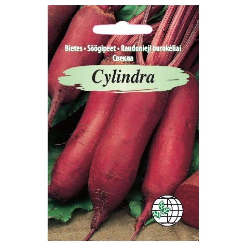 cylindra