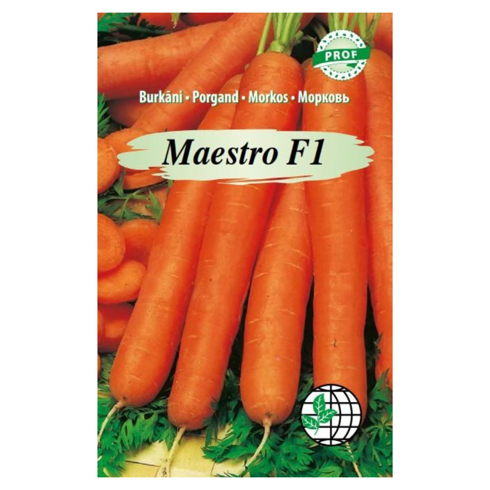 maestro_f1