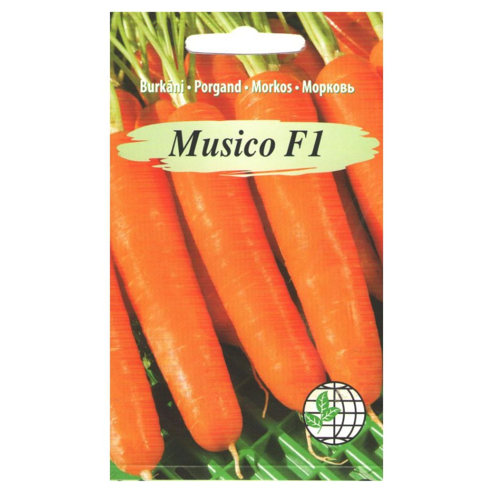 musico_f1