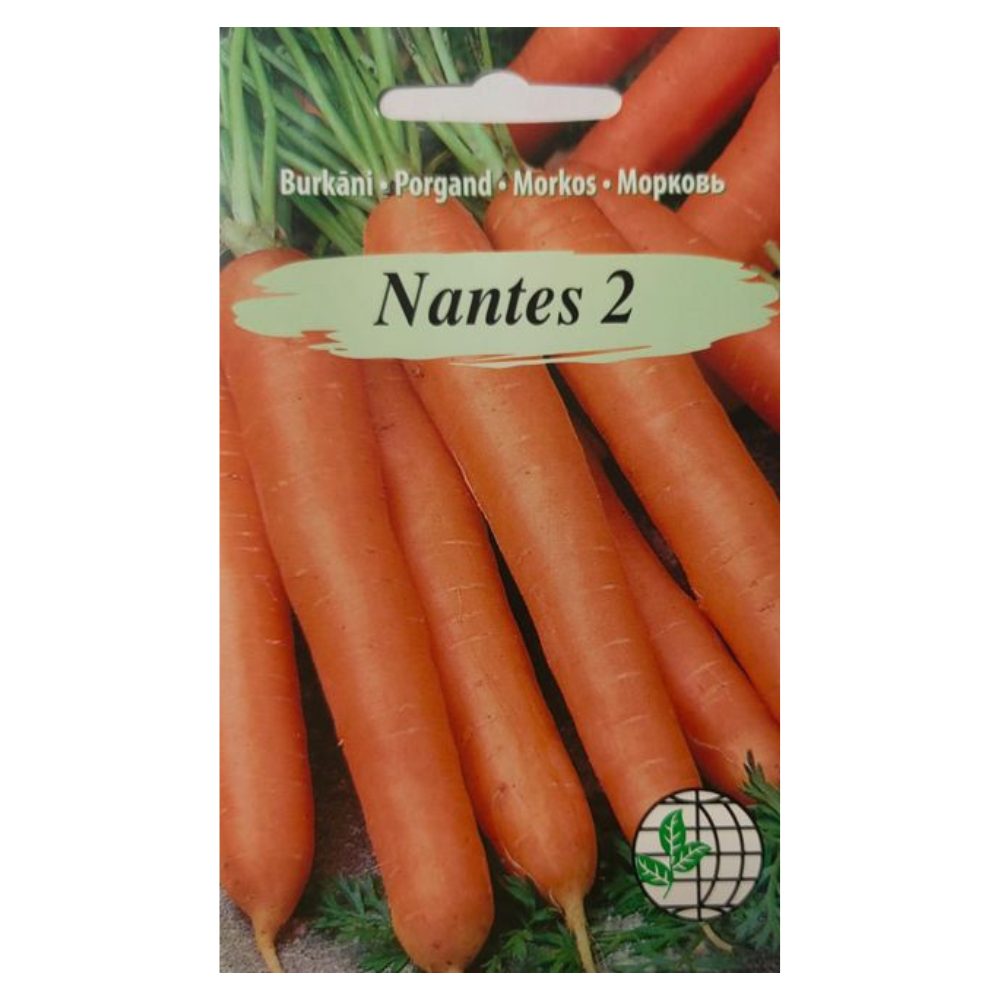 nantes_2