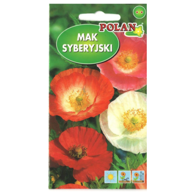 puku-seklas87