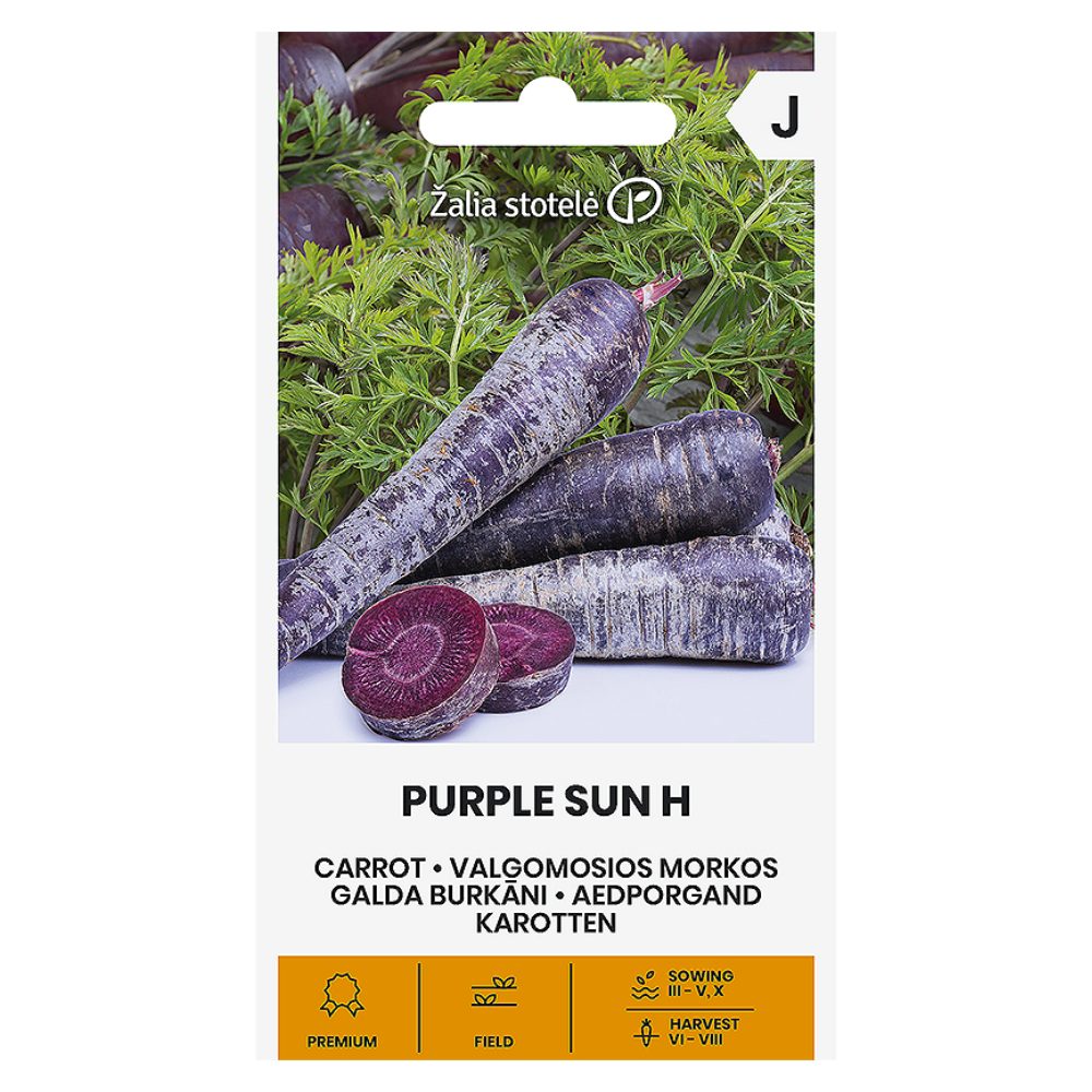 purple_sun_h