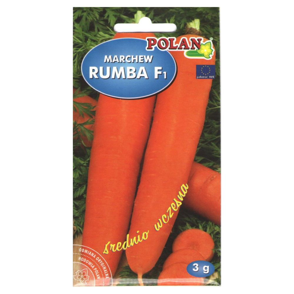 rumba_f1
