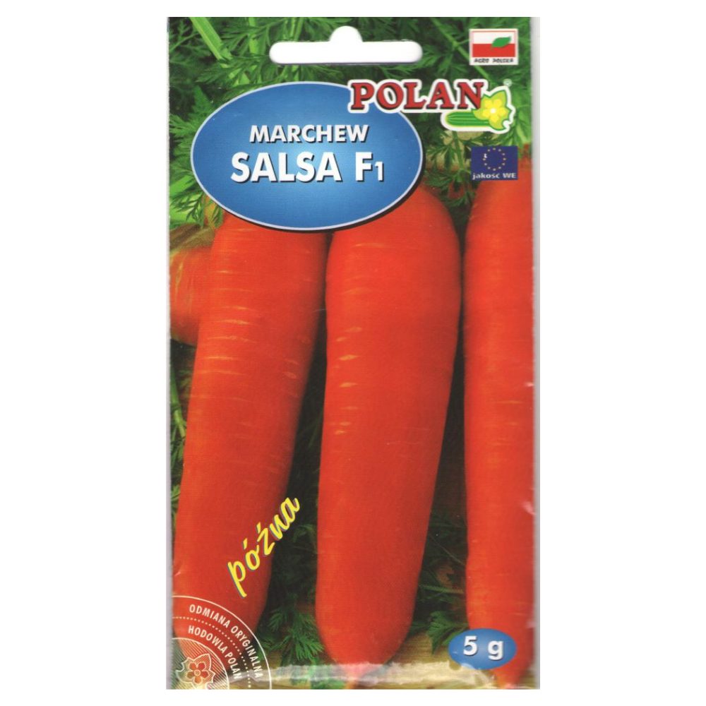 salsa