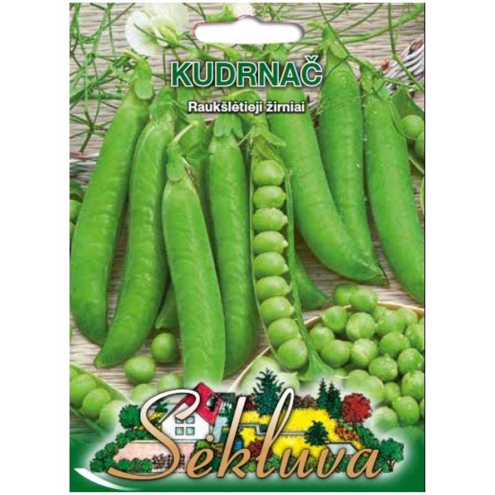 seklas12
