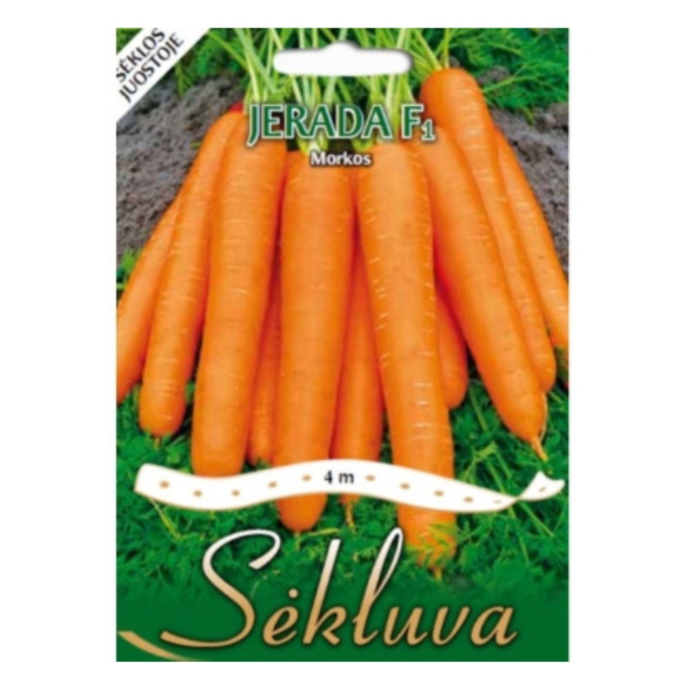 seklas7