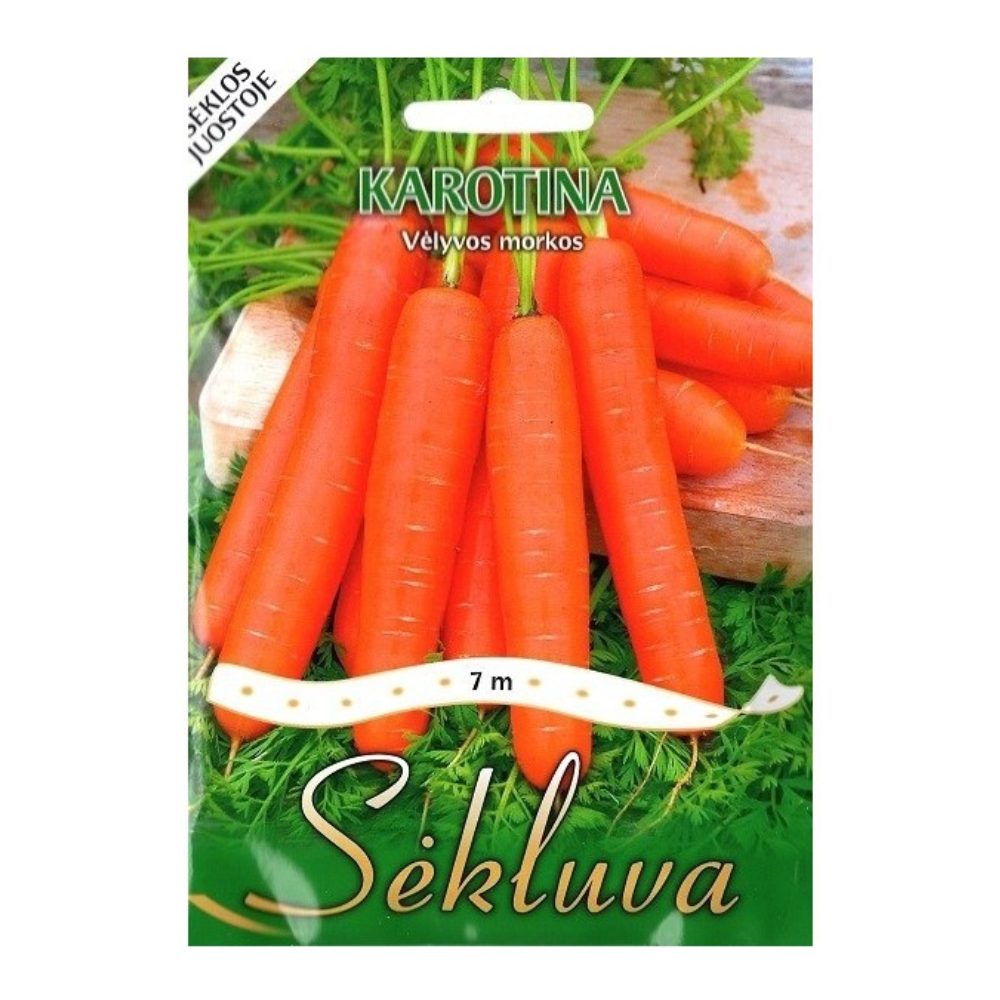 seklas8