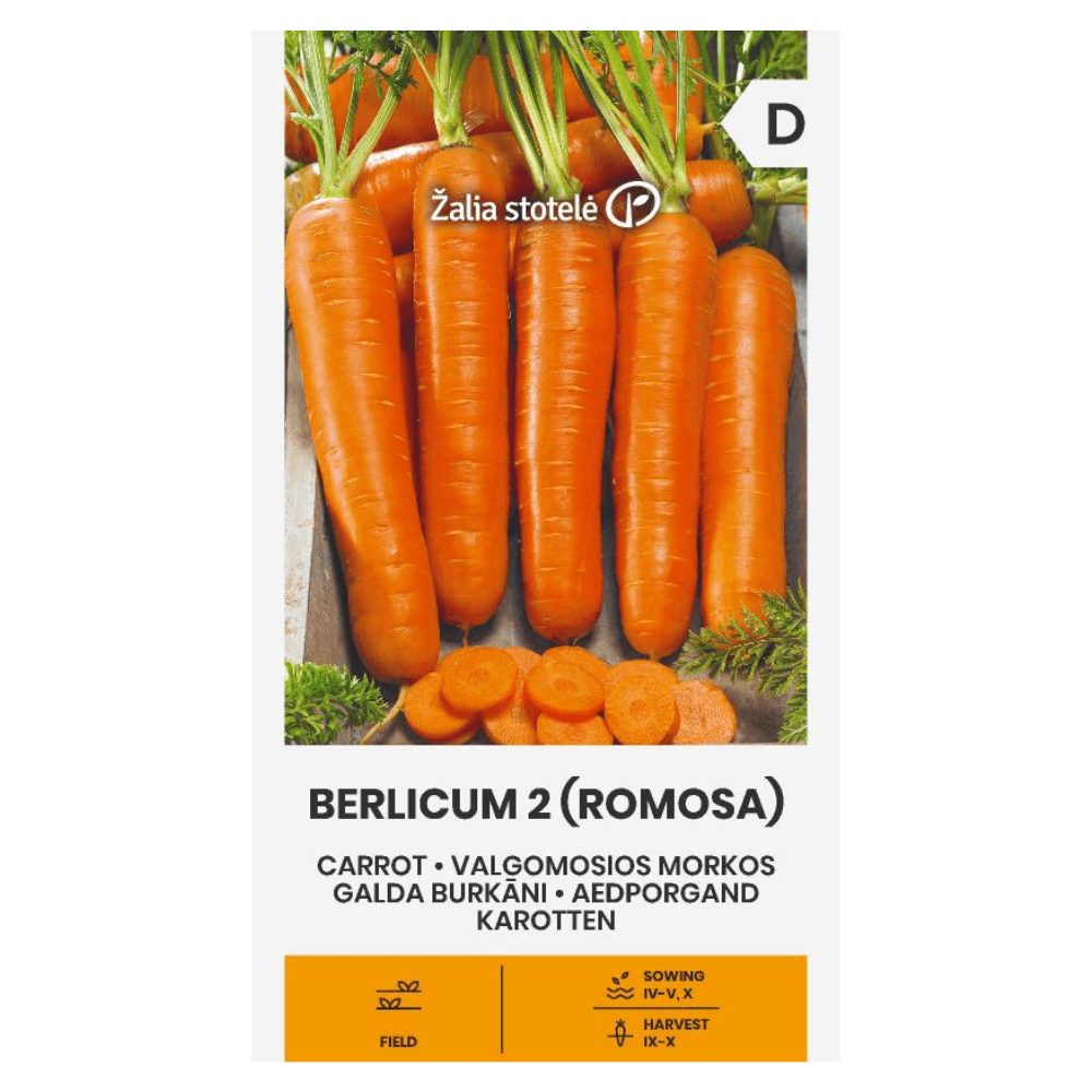 berlicum